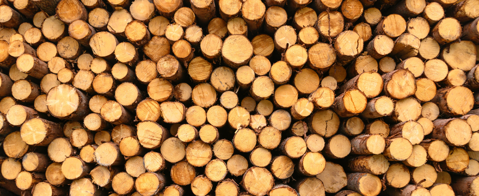 EUTR European Union Timber Regulation