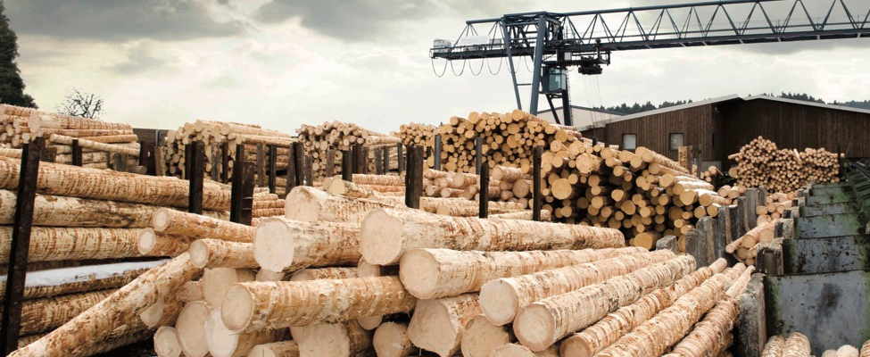 EUTR European Union Timber Regulation