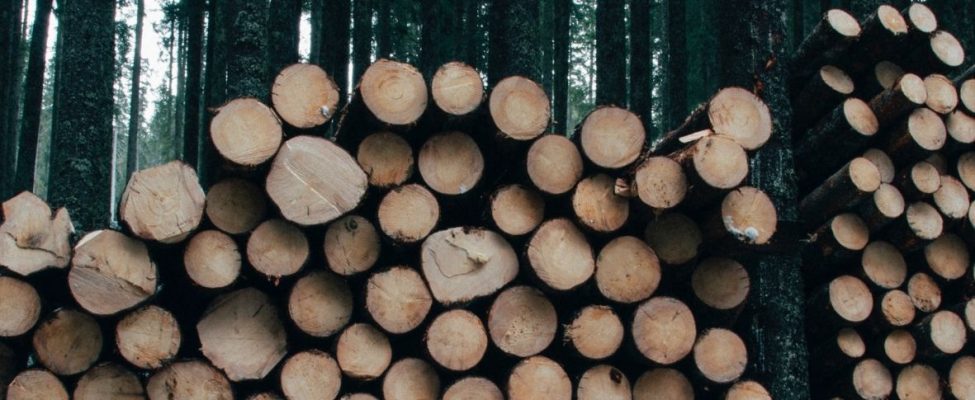 Timber Trade Ordinance in Switzerland – Holzhandelsverordnung (HHV)